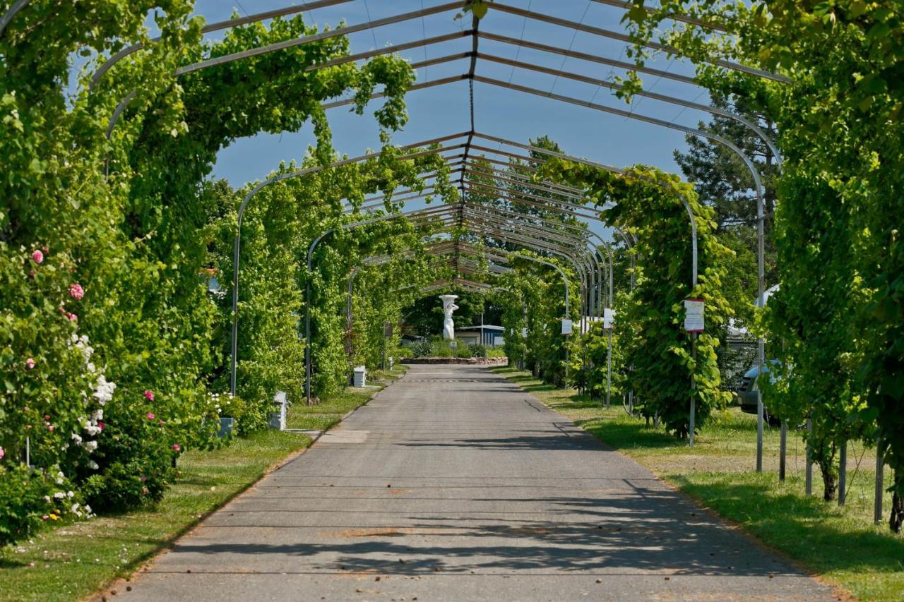 Knaus Campingpark バート・デュルクハイム エクステリア 写真